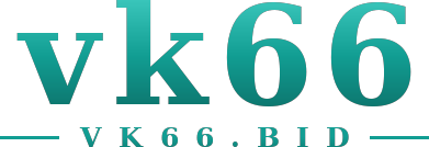 vk66 logo